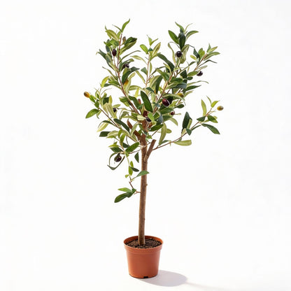 Olijfboom in pot 65cm – Kunstplant - Artificial plant
