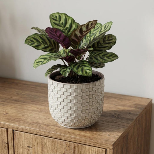 Pot relief wit D13,5