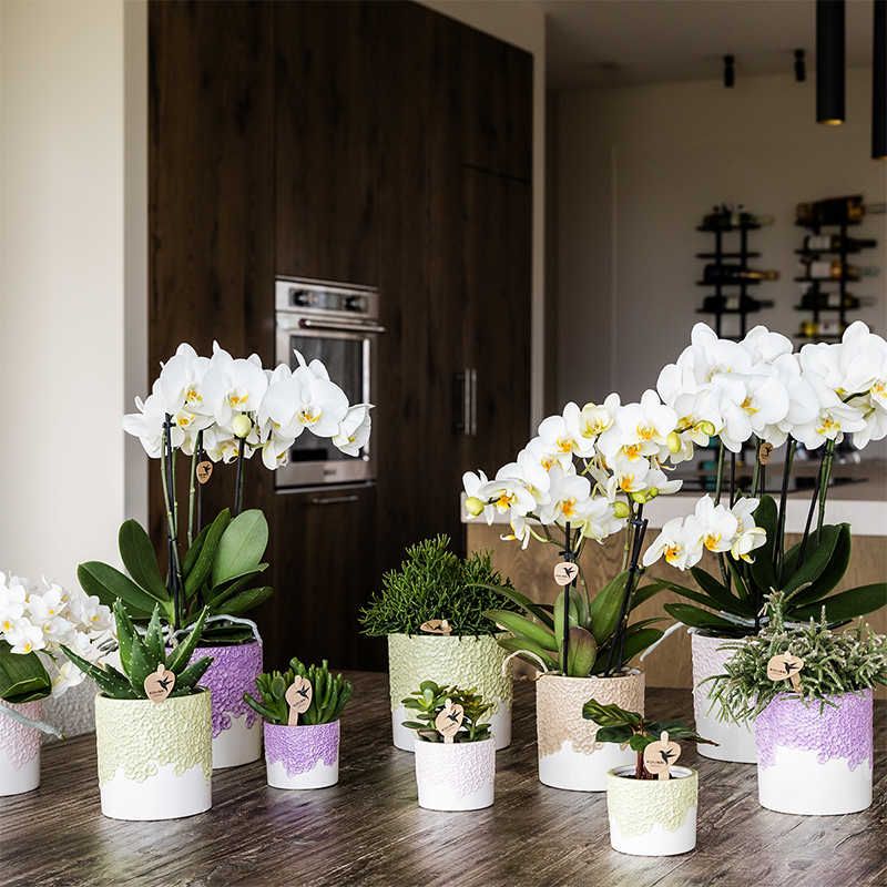 Kolibri Home | Bloom sierpot - Sand - Ø12cm