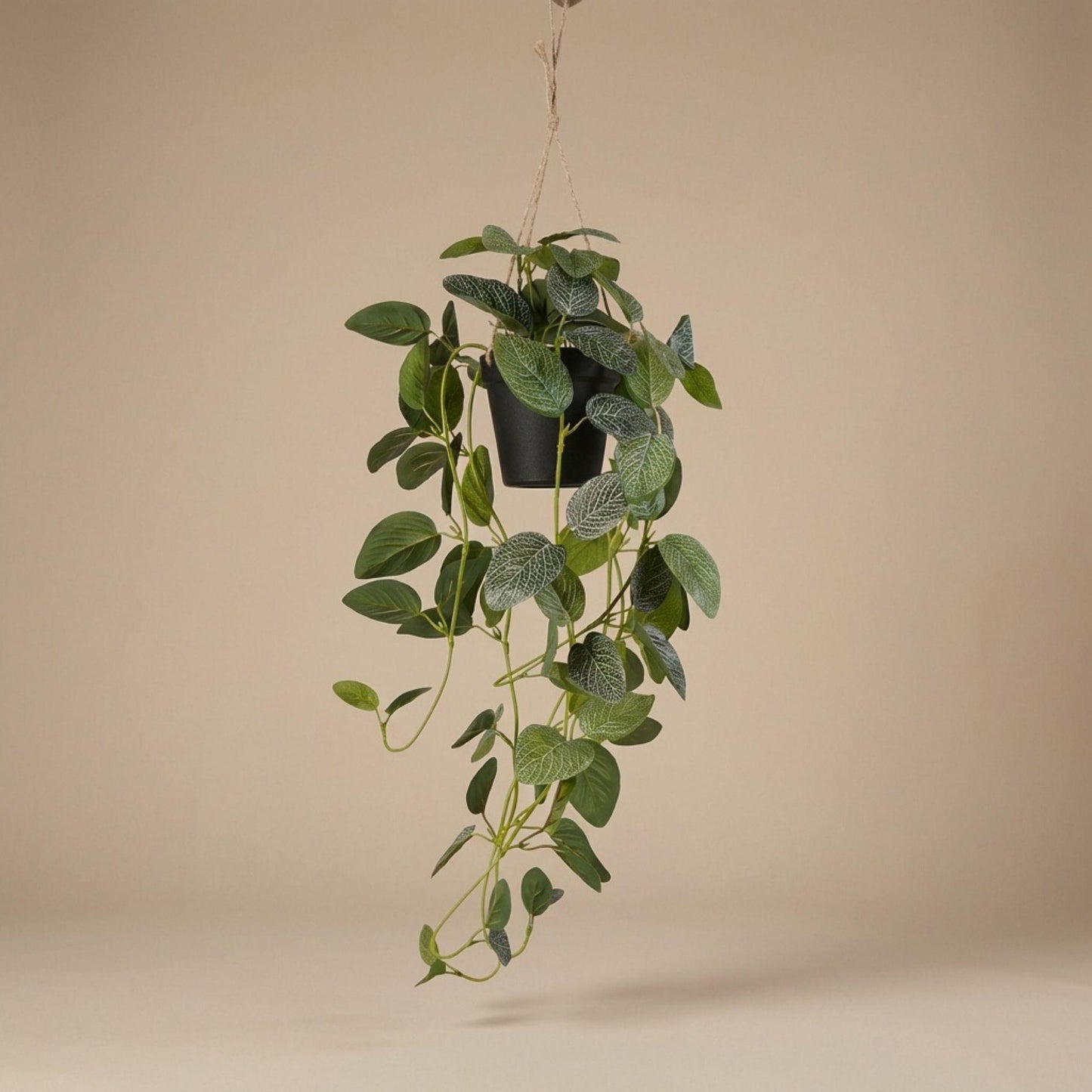 Fittonia - hangplant in pot - 70 cm - Kunstplant