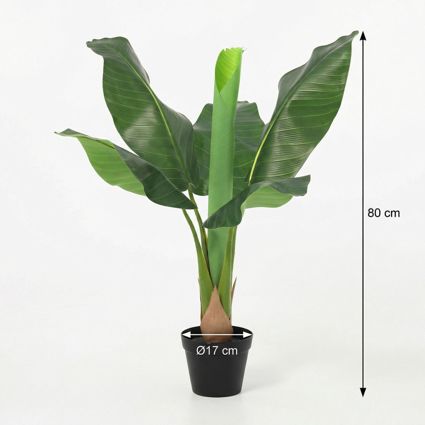 ARTIFICIAL Bananenplant Musa - 80cm
