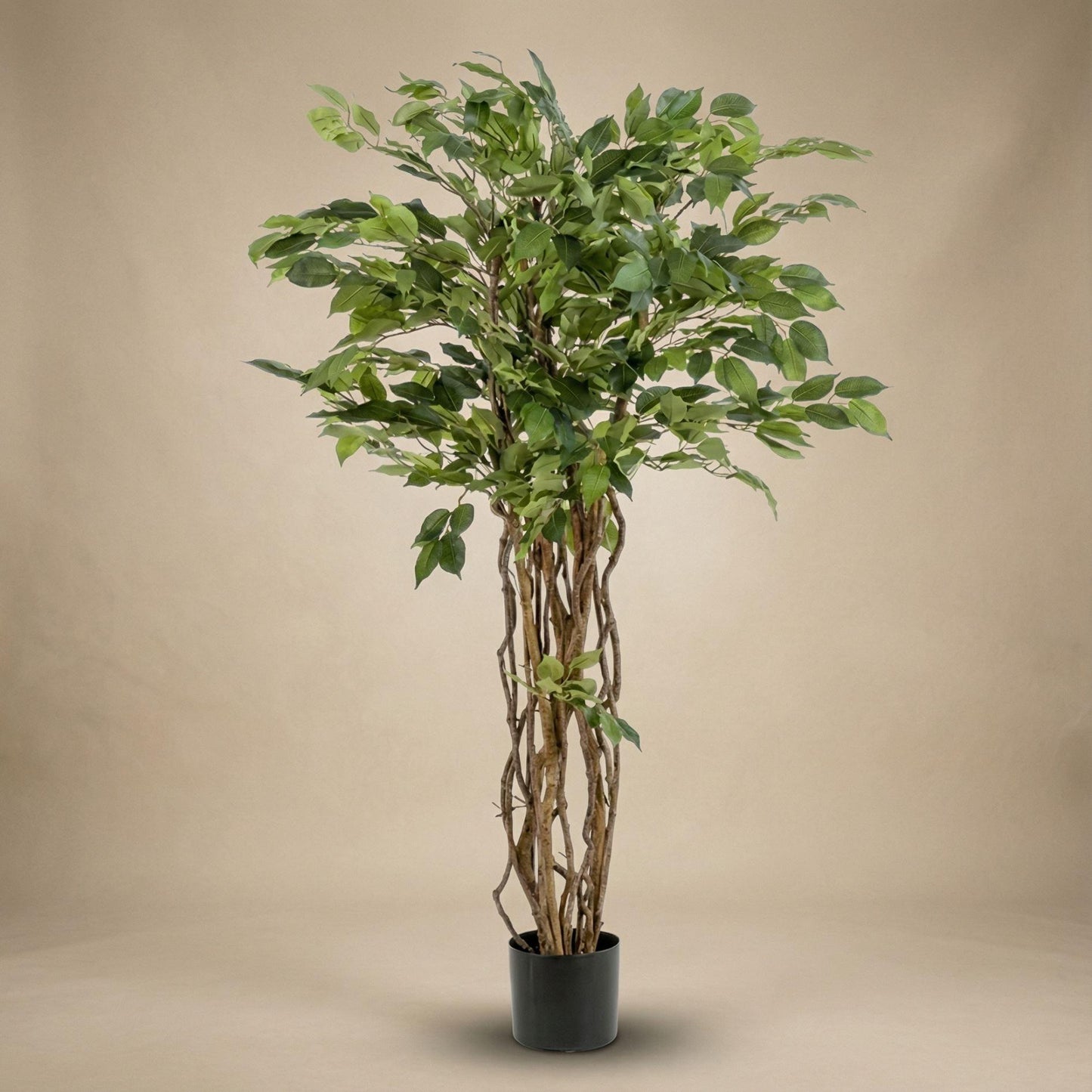 Ficus Liana Kunstboom 140cm - Artificial plant