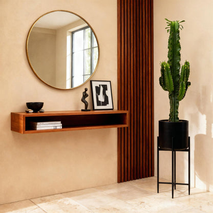 Kamerplant Euphorbia eritrea - Afrikaanse melkboom - Weinig onderhoud - 2 stuks met pot 19cm - Hoogte 70cm