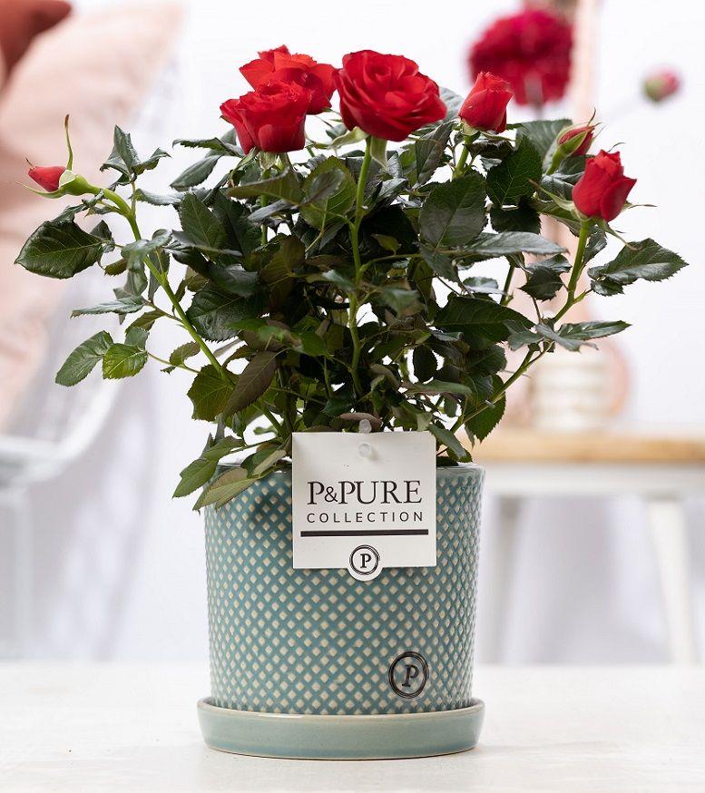 Rosa Red Lauren Ceramics - Ø12cm - ↕30cm