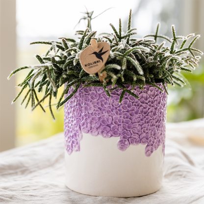 Kolibri Home | Bloom sierpot - Lila - Ø6cm