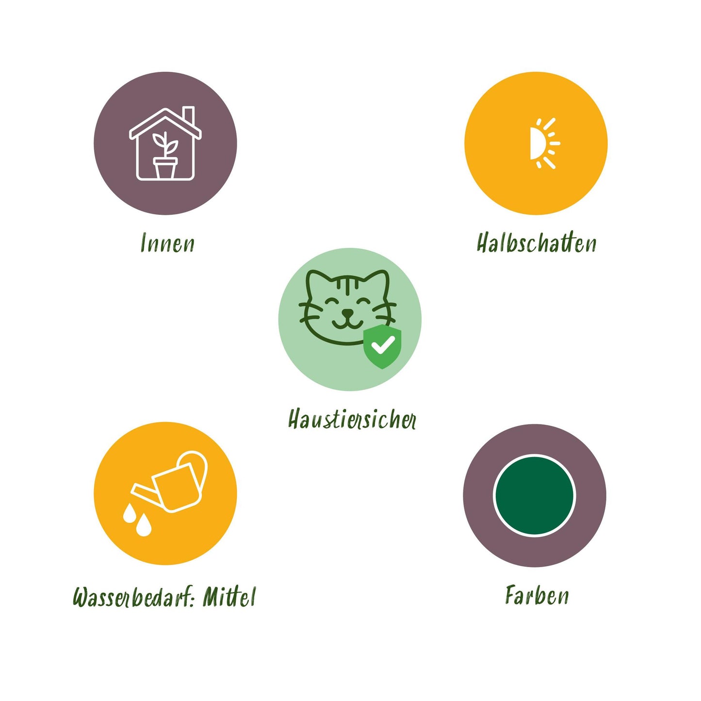 Mix van 4 - Huisdiervriendelijke Planten 4 Planten - met Potter Wit - Pot 12cm - Hoogte 25cm