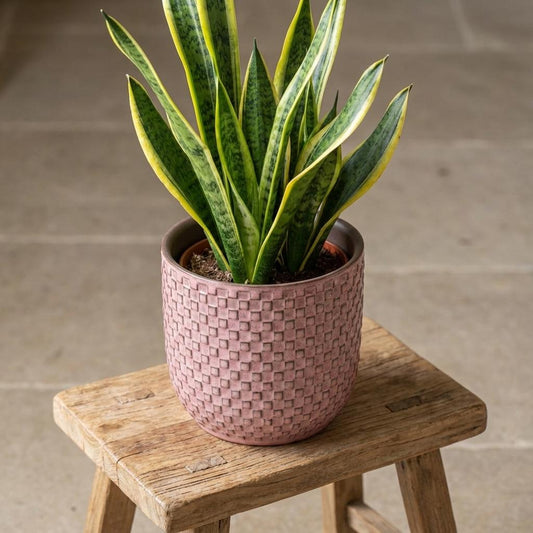 Pot relief roze D13,5