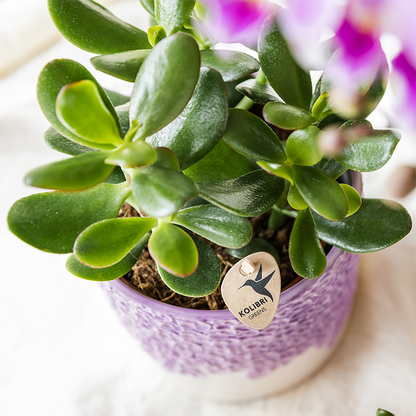 Kolibri Home | Bloom sierpot - Lila - Ø12cm