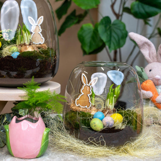 Emma Pasen - Open terrarium - Flessentuin DIY kit - Ø 23 cm ↑ 25 cm - Easter Bottle Garden