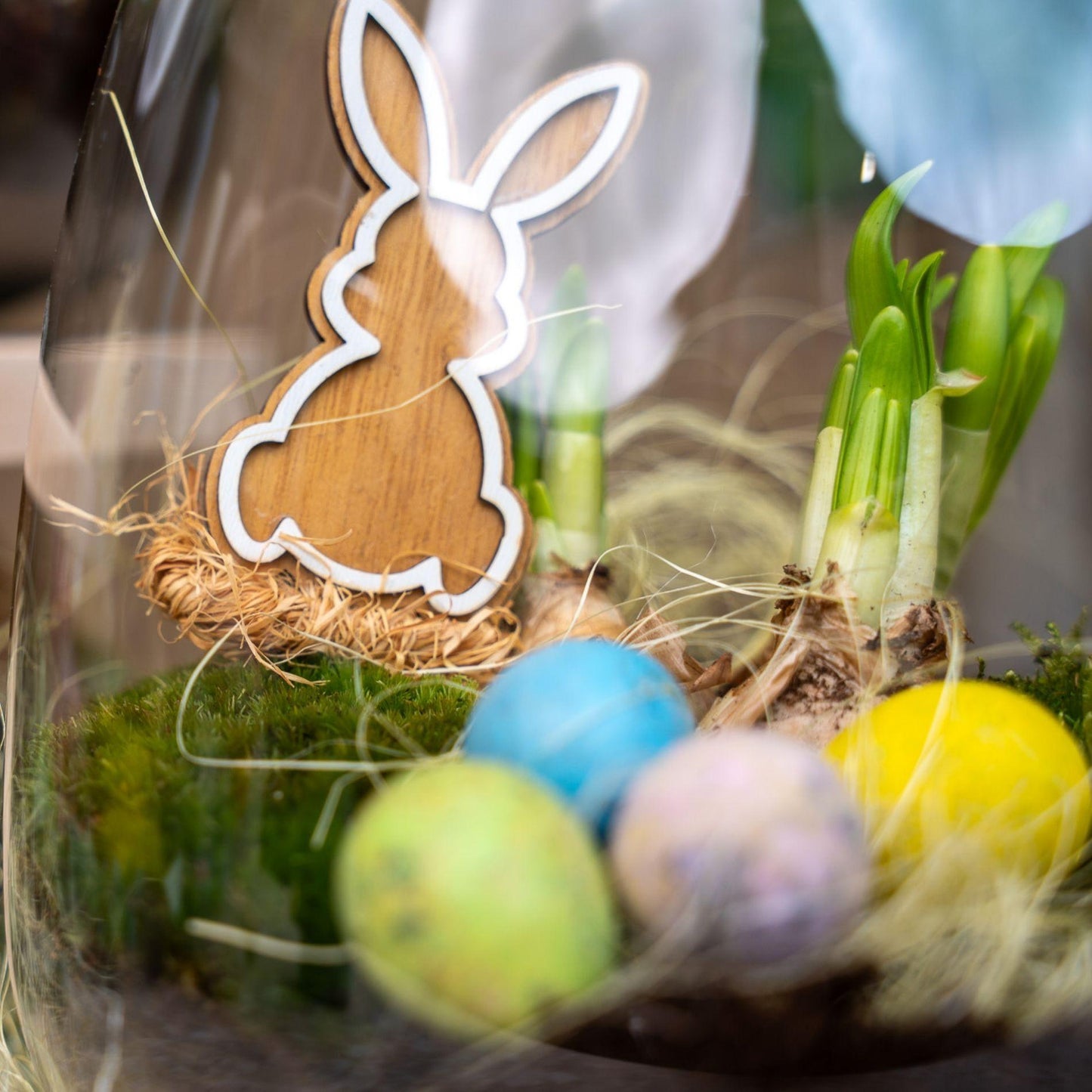 Emma Pasen - Open terrarium - Flessentuin DIY kit - Ø 23 cm ↑ 25 cm - Easter Bottle Garden